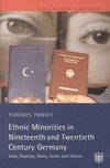 Panayi, P: Ethnic Minorities in 19th and 20th Century German