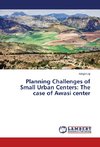 Planning Challenges of Small Urban Centers: The case of Awasi center