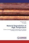 Material Degradation at High Temperature