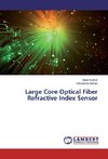 Large Core Optical Fiber Refractive Index Sensor