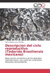 Descripcion del ciclo reproductivo (Tadarida Brasiliensis mexicana)