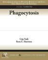 Phagocytosis