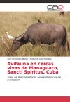 Avifauna en cercas vivas de Managuaco, Sancti Spíritus, Cuba