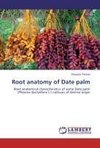 Root anatomy of Date palm