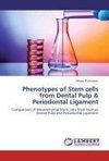 Phenotypes of Stem cells from Dental Pulp & Periodontal Ligament