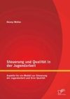 Steuerung und Qualität in der Jugendarbeit: Aspekte für ein Modell zur Steuerung der Jugendarbeit und ihrer Qualität