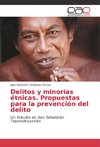 Delitos y minorías étnicas. Propuestas para la prevención del delito