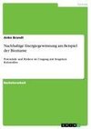 Nachhaltige Energiegewinnung am Beispiel der Biomasse