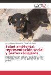 Salud ambiental, representación social y perros callejeros