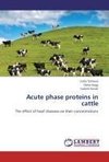 Acute phase proteins in cattle