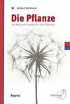 Die Pflanze