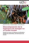 Descomposición de la hojarasca de manglar en el caribe insular