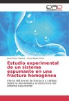 Estudio experimental de un sistema espumante en una fractura homogénea