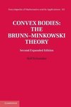 Convex Bodies