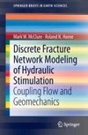 Discrete Fracture Network Modeling of Hydraulic Stimulation