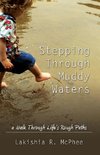 Stepping Through Muddy Waters