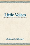 Little Voices