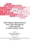 DNA Repair Mechanisms and Their Biological Implications in Mammalian Cells