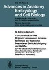 Zur Ultrastruktur des Organon vasculosum laminae terminalis der Ratte mit besonderer Berücksichtigung der Gefäße