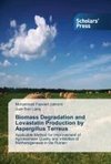 Biomass Degradation and Lovastatin Production by Aspergillus Terreus