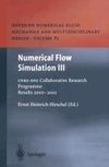 Numerical Flow Simulation III