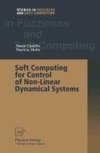 Soft Computing for Control of Non-Linear Dynamical Systems