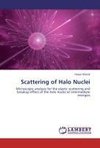 Scattering of Halo Nuclei