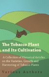 The Tobacco Plant and Its Cultivation - A Collection of Historical Articles on the Varieties, Growth and Harvesting of Tobacco Plants