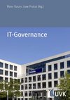 IT-Governance