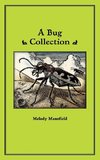 A Bug Collection