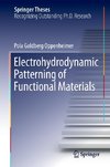 Electrohydrodynamic Patterning of Functional Materials