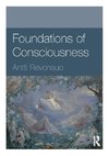 Foundations of Consciousness