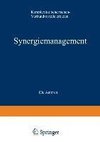 Synergiemanagement