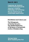 The Ontogenesis of Cortical Circuitry: The Spatial Distribution of Synapses in Somesthetic Cortex of Newborn Dog