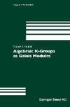 Algebraic K-Groups as Galois Modules