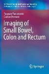 Imaging of Small Bowel, Colon and Rectum