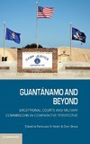 Guantanamo and Beyond