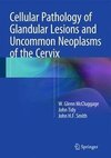 Cellular Pathology of Glandular Lesions and Uncommon Neoplasms of the Cervix