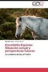 Encefalitis Equinas: Situación actual y perspectivas futuras