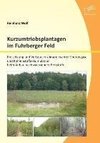 Kurzumtriebsplantagen im Fuhrberger Feld: Freisetzung und Verbrauch klimarelevanter Spurengase und Kohlenstoffakkumulation beim Anbau nachwachsender Rohstoffe