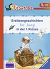 Erstlesegeschichten für Jungs in der 1. Klasse