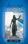 Seeing Justice