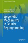 Epigenetic Mechanisms in Cellular Reprogramming