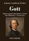 Gott. Einige Gespräche über Spinoza's System nebst Shaftesbury's Naturhymnus