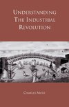 More, D: Understanding the Industrial Revolution