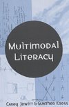 Multimodal Literacy