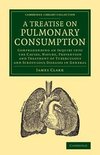 A   Treatise on Pulmonary Consumption