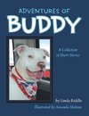 Adventures of Buddy