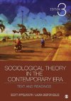 Appelrouth, S: Sociological Theory in the Contemporary Era