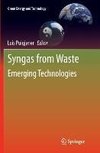 Syngas from Waste